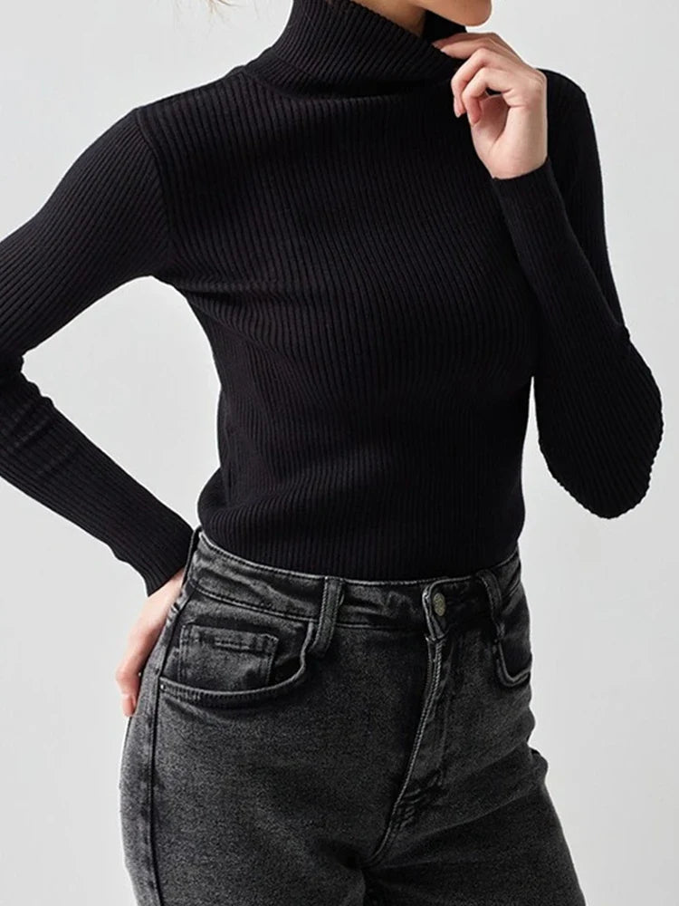 Women's Ribbed Turtleneck Sweater Long Sleeve