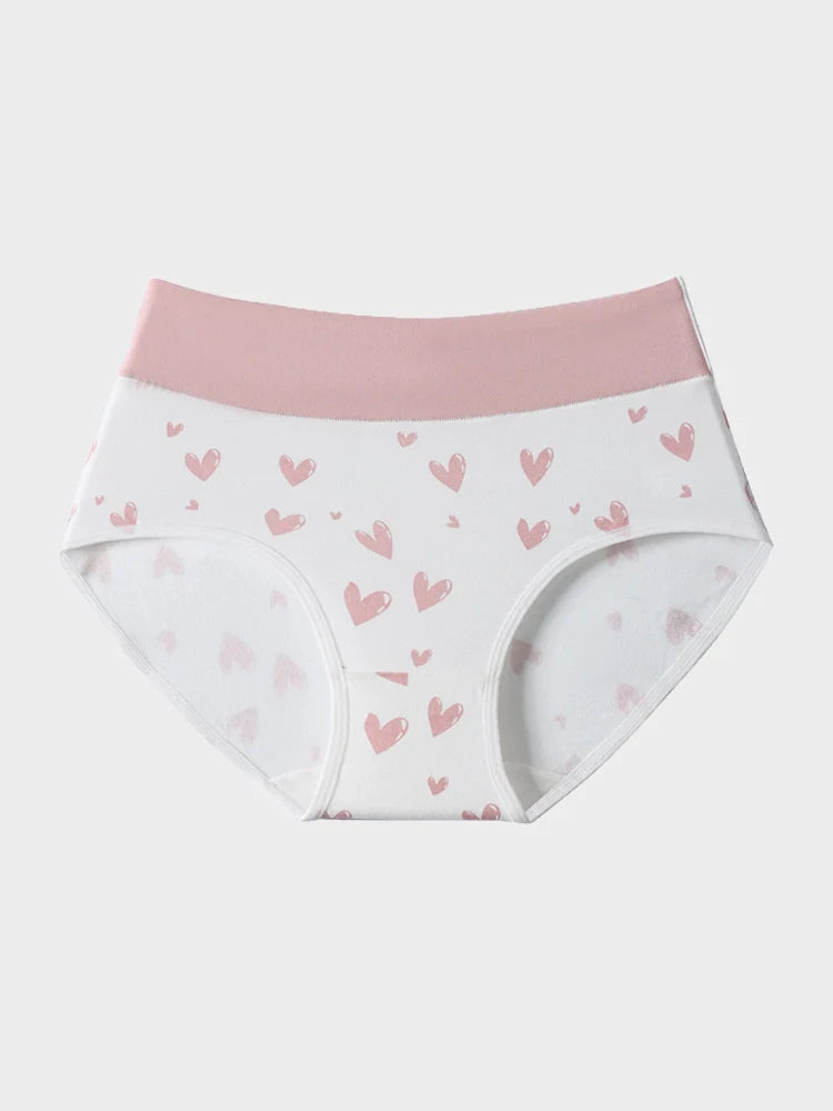 6 Pack Women’s High Waisted Cotton Seamless Briefs