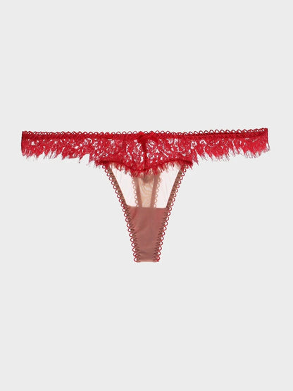 Women's Stretch Galloon Lace Thong