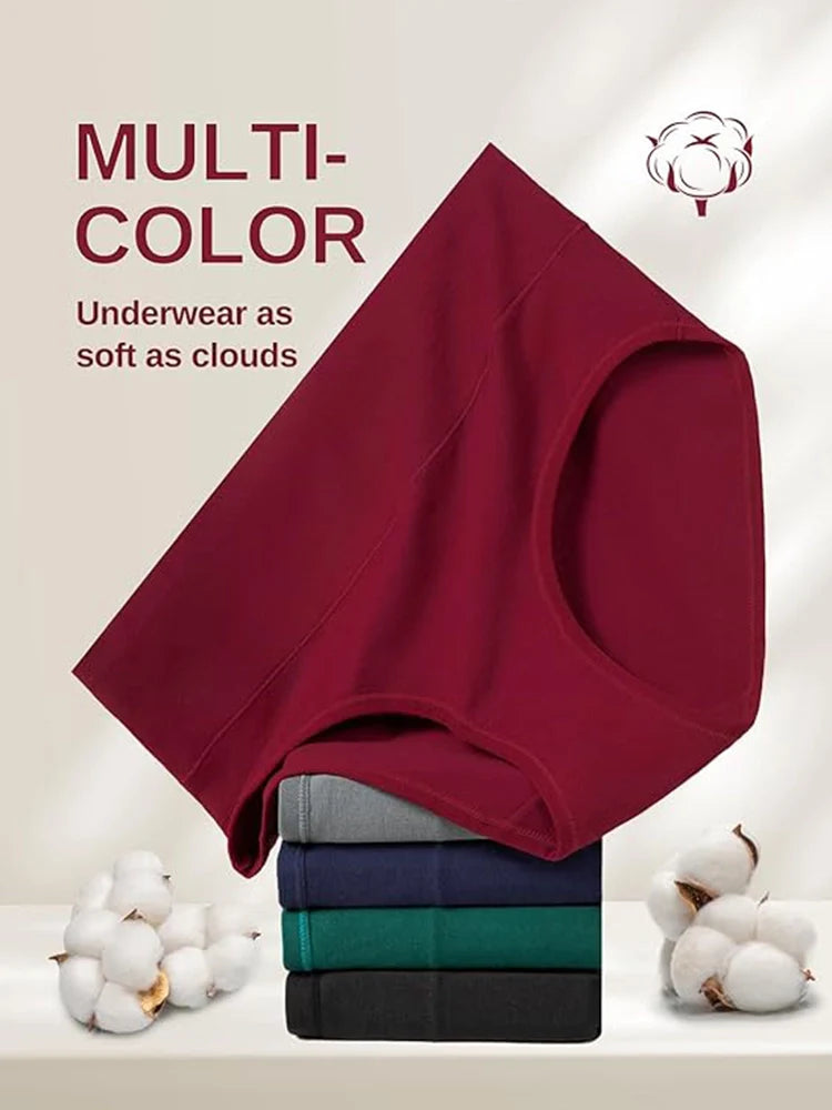 Cotton Underwear for Women High Waisted Full Coverage Briefs Soft Ladies Panties 5 Pack